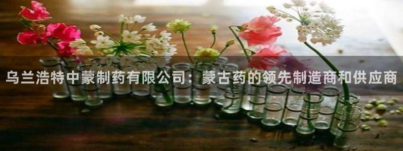 九游老哥俱乐部登录：乌兰浩特中蒙制药有限公司：蒙古药的领先制造商和供应商