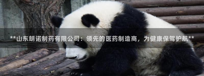 老哥吧九游会：**山东朗诺制药有限公司：领先的医药制造商，为健康保驾护航**
