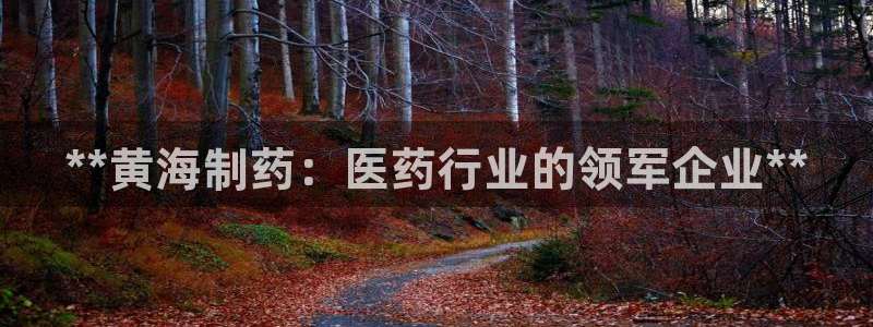 九游老哥俱乐部官网登录不了：**黄海制药：医药行业的领军企业**