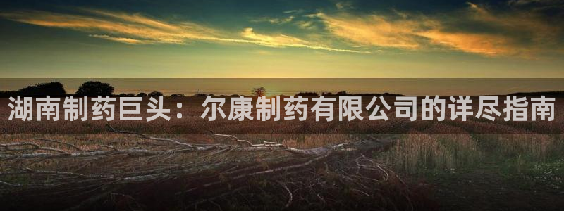 老哥吧九游会下架吗：湖南制药巨头：尔康制药有限公司的详尽指南