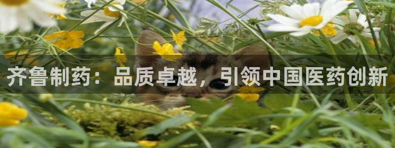 九游会老哥俱乐部官网首页
