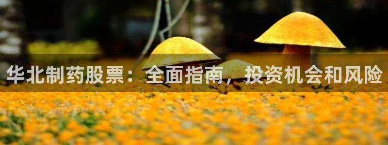 九游会老哥必备的交流社区九：华北制药股票：全面指南，投资机会和风险