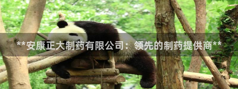 九游老哥俱乐部官网登录入口：**安康正大制药有限公司：领先的制药提供商**