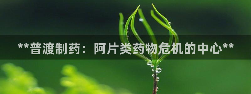 9游会老哥：**普渡制药：阿片类药物危机的中心**