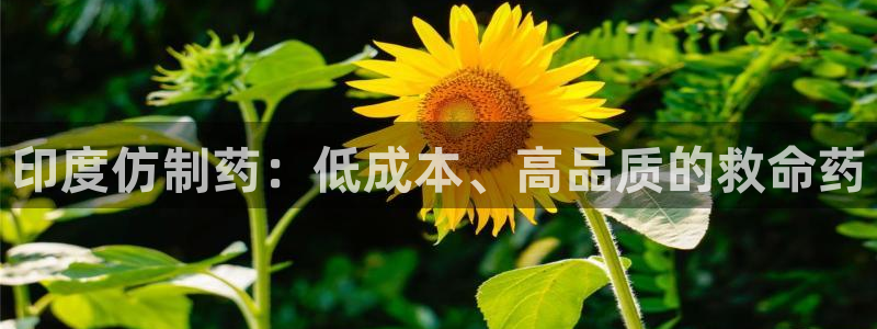 九游会老哥俱乐部必备的交流社区：印度仿制药：低成本、高品质的救命药