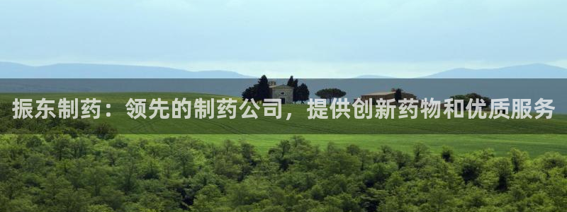 老哥俱乐部是干什么的啊：振东制药：领先的制药公司，提供创新药物和优质服务