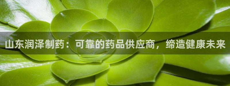 九游老哥俱乐部官网登录：山东润泽制药：可靠的药品供应商，缔造健康未来