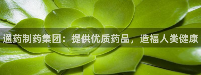 九游会老哥俱乐部必备的交流社区论坛：通药制药集团：提供优质药品，造福人类健康