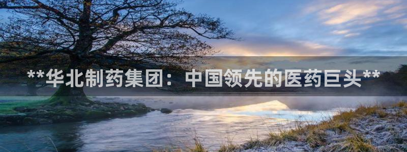 九游会老哥俱乐部：**华北制药集团：中国领先的医药巨头**