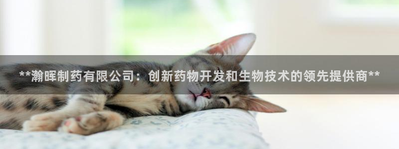 老哥吧九游会下架吗：**瀚晖制药有限公司：创新药物开发和生物技术的领先提供商**
