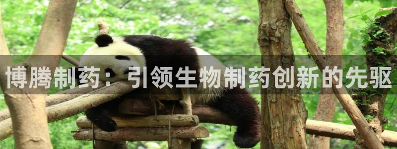 九游会老哥俱乐部交流社区：博腾制药：引领生物制药创新的先驱