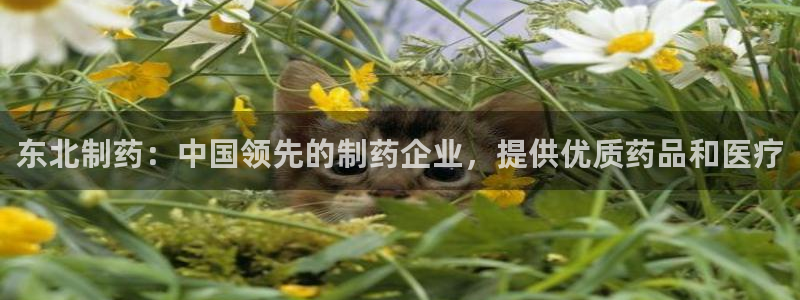 九游会老哥必备的交流社区九：东北制药：中国领先的制药企业，提供优质药品和医疗