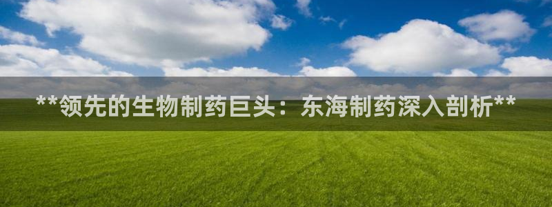九游会老哥俱乐部官网首页：**领先的生物制药巨头：东海制药深入剖析**