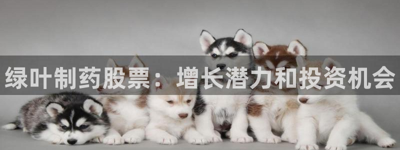 9游会老哥：绿叶制药股票：增长潜力和投资机会