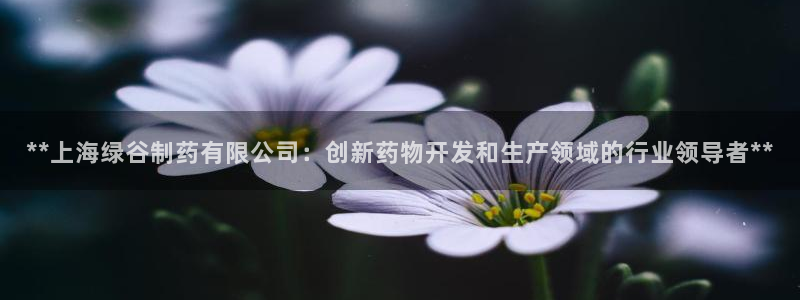 九游老哥俱乐部官网登录网址：**上海绿谷制药有限公司：创新药物开发和生产领域的行业领导者**