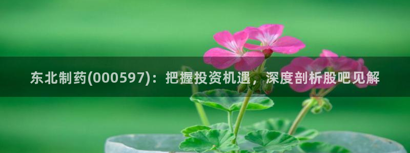 九游会老哥必备的交流社区九：东北制药(000597)：把握投资机遇，深度剖析股吧见解