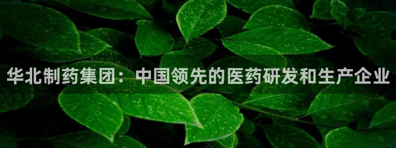 老哥吧九游会下架吗：华北制药集团：中国领先的医药研发和生产企业