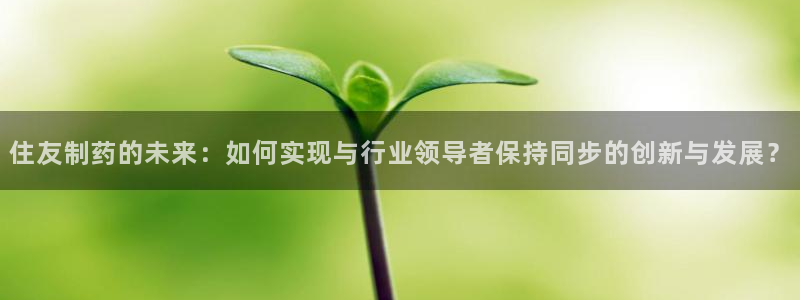 usdt九游会老哥俱乐部：住友制药的未来：如何实现与行业领导者保持同步的创新与发展？