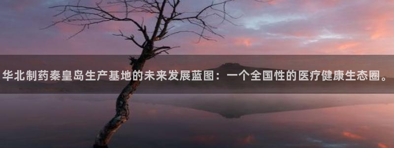 9游会老哥俱乐部：华北制药秦皇岛生产基地的未来发展蓝图：一个全国性的医疗健康生态圈。
