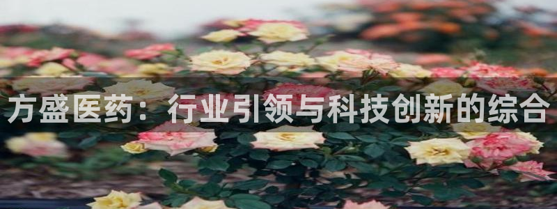九游会老哥俱乐部必备的交流社区论坛：方盛医药：行业引领与科技创新的综合