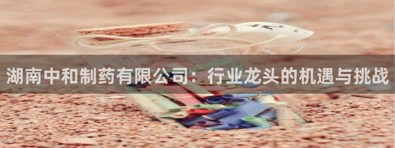 老哥吧九游会：湖南中和制药有限公司：行业龙头的机遇与挑战