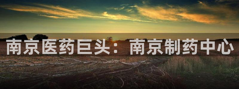 老哥俱乐部是干什么的啊：南京医药巨头：南京制药中心