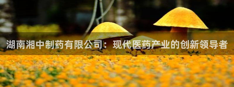 ag九游会老哥：湖南湘中制药有限公司：现代医药产业的创新领导