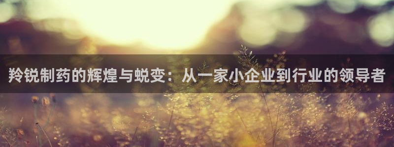 九游老哥俱乐部官网登录不了：羚锐制药的辉煌与蜕变：从一家小企业到行业的领导者