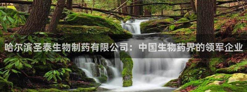 九游会老哥俱乐部官方网站：哈尔滨圣泰生物制药有限公司：中国生物药界的领军企业