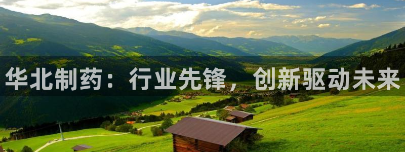 九游老哥俱乐部官网登录网址：华北制药：行业先锋，创新驱动未来