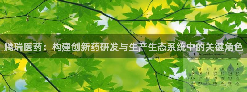 九游老哥俱乐部官网登录网址：腾瑞医药：构建创新药研发与生产生态系统中的关键角色