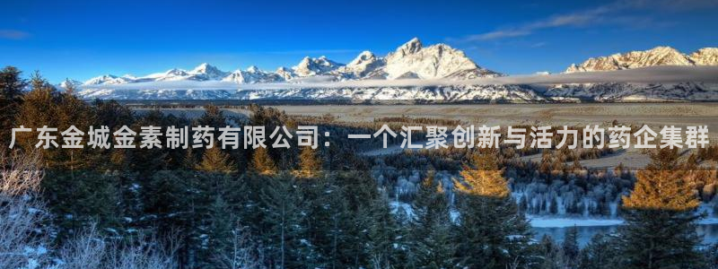 九游会老哥俱乐部必备的交流社区：广东金城金素制药有限公司：一个汇聚创新与活力的药企集群