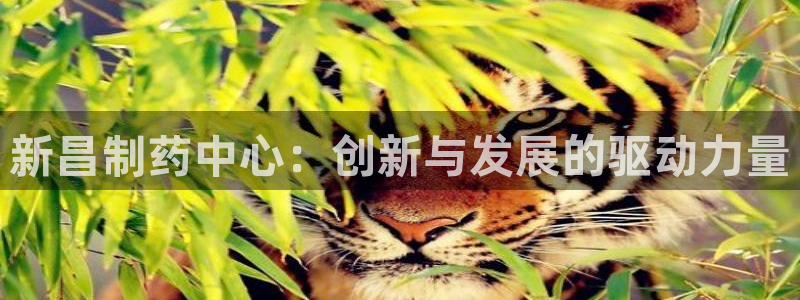 老哥吧九游会下架吗：新昌制药中心：创新与发展的驱动力量