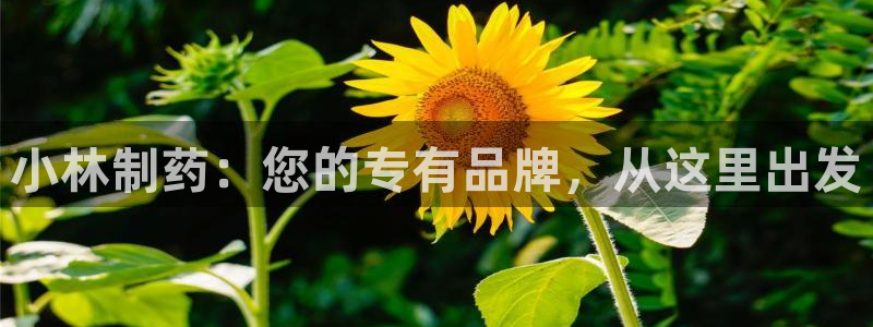 九游老哥俱乐部官网登录不了：小林制药：您的专有品牌，从这里出发