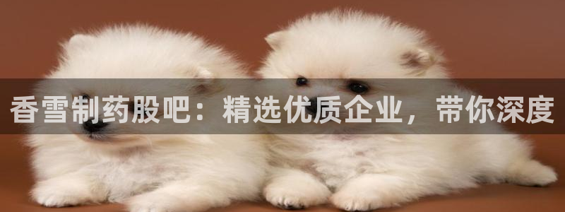9游会老哥：香雪制药股吧：精选优质企业，带你深度