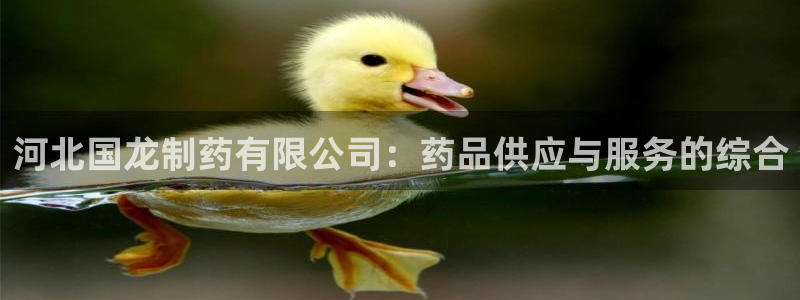 j9九游会老哥俱乐部交流区：河北国龙制药有限公司：药品供应与服务的综合