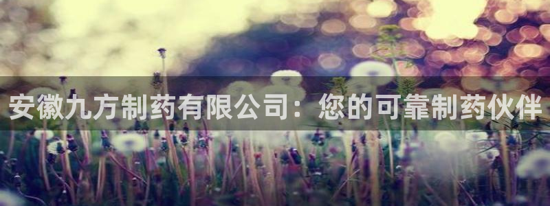 九游会老哥俱乐部官方网站：安徽九方制药有限公司：您的可靠制药伙伴