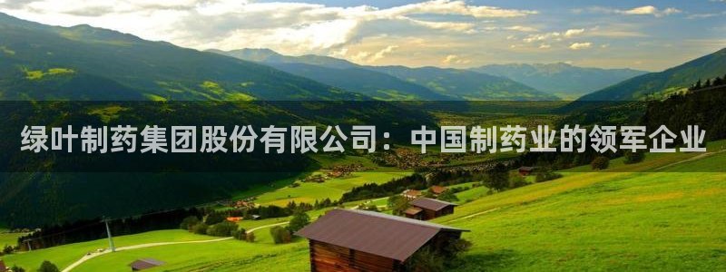 九游会老哥俱乐部必备的交流社区论坛：绿叶制药集团股份有限公司：中国制药业的领军企业