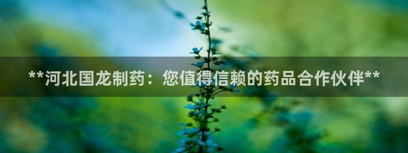 九游会老哥：**河北国龙制药：您值得信赖的药品合作伙伴**
