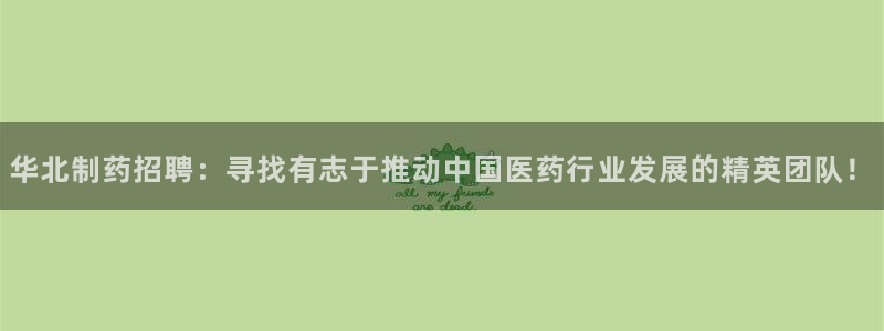 九游老哥俱乐部官网登录不了：华北制药招聘：寻找有志于推动中国医药行业发展的精英团队！