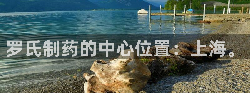 老哥吧九游会：罗氏制药的中心位置：上海。
