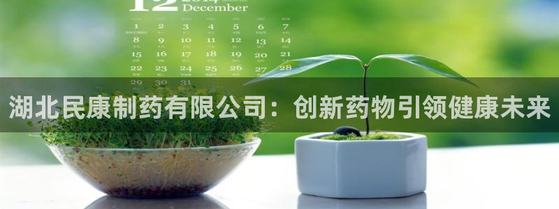老哥俱乐部是干什么的：湖北民康制药有限公司：创新药物引领健康未来