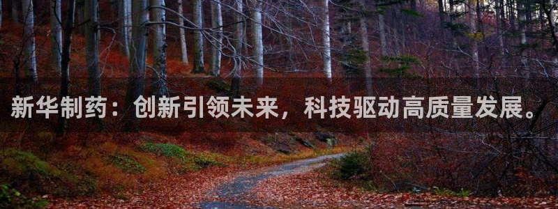 九游老哥俱乐部官网登录：新华制药：创新引领未来，科技驱动高质量发展。