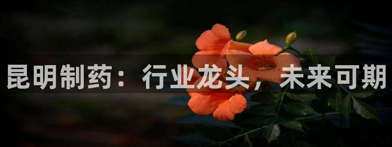 老哥吧九游会下架吗：昆明制药：行业龙头，未来可期