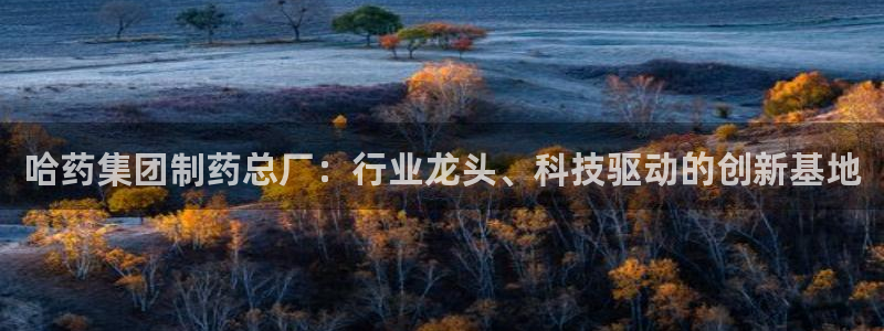 usdt九游会老哥俱乐部：哈药集团制药总厂：行业龙头、科技驱动的创新基地