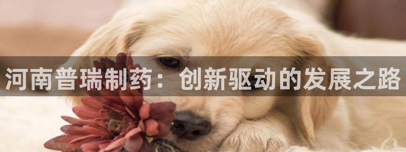 九游会老哥俱乐部论坛版