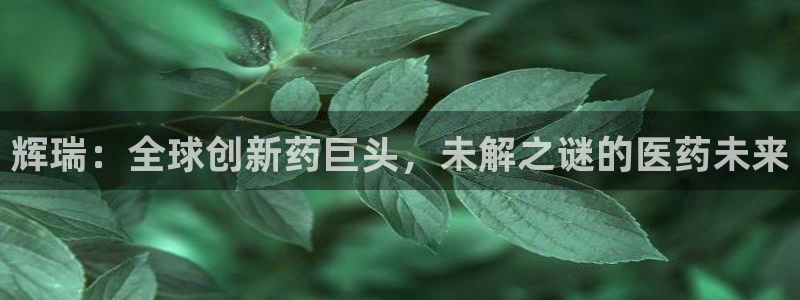 九游会老哥俱乐部官方网站：辉瑞：全球创新药巨头，未解之谜的医药未来