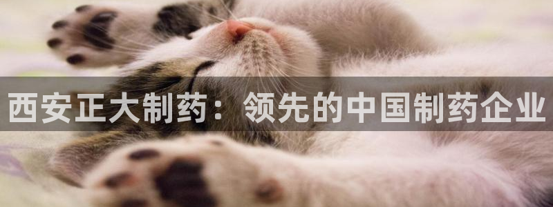 九游会老哥俱乐部官方网站