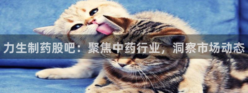 9游会老哥俱乐部：力生制药股吧：聚焦中药行业，洞察市场动态