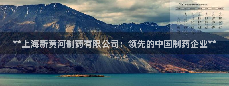 ag九游会老哥：**上海新黄河制药有限公司：领先的中国制药企业**